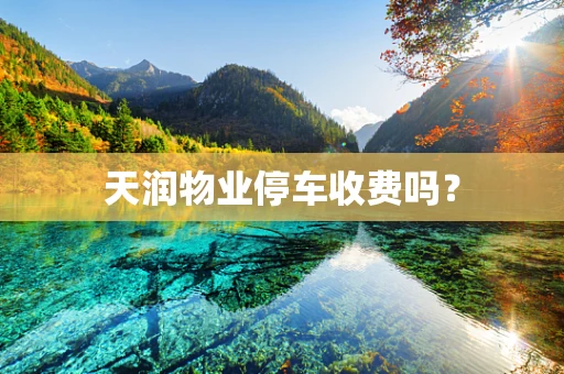 天润物业停车收费吗？
