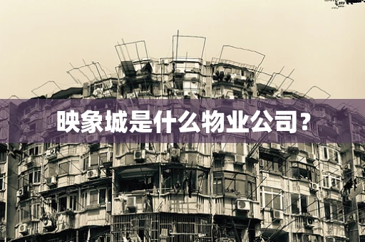 映象城是什么物业公司？