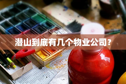 潜山到底有几个物业公司？