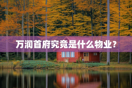万润首府究竟是什么物业？