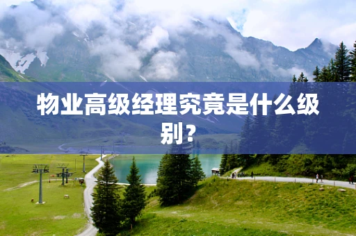 物业高级经理究竟是什么级别？