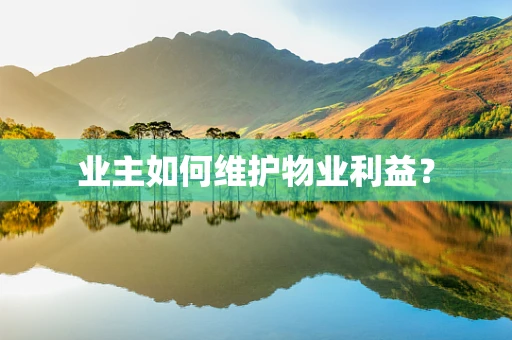 业主如何维护物业利益？