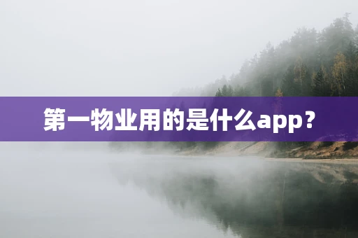 第一物业用的是什么app？