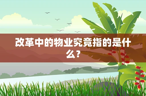 改革中的物业究竟指的是什么？
