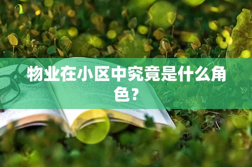物业在小区中究竟是什么角色？