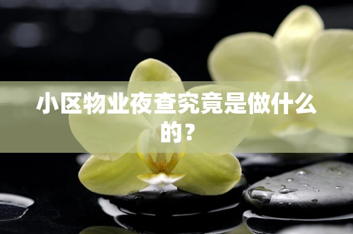 小区物业夜查究竟是做什么的？