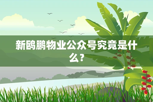 新鸥鹏物业公众号究竟是什么？