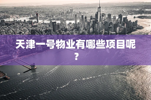 天津一号物业有哪些项目呢？