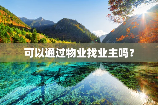 可以通过物业找业主吗？