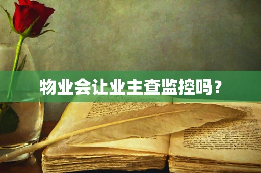 物业会让业主查监控吗？