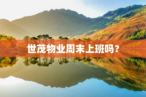 世茂物业周末上班吗？