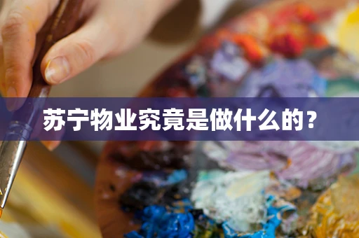 苏宁物业究竟是做什么的？