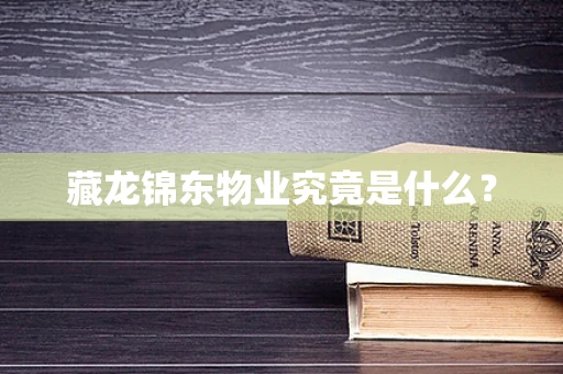 藏龙锦东物业究竟是什么？