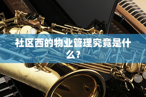 社区西的物业管理究竟是什么？