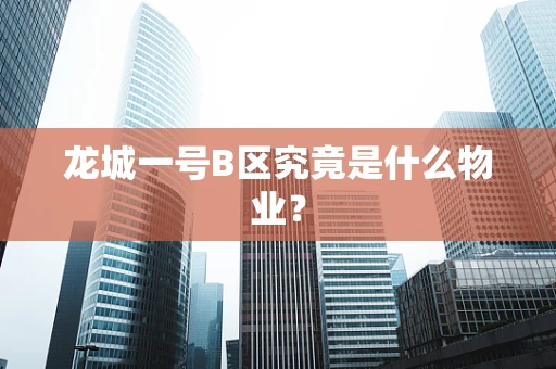 龙城一号B区究竟是什么物业？