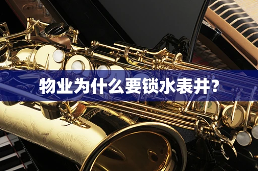 物业为什么要锁水表井？