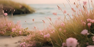 岸上玫瑰的物业究竟是什么？