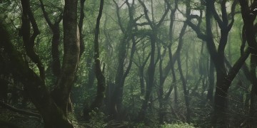 宜昌到底有什么物业公司呢？