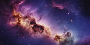 星云轩物业平常到底管不管事？