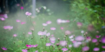 现在交物业费贵吗？