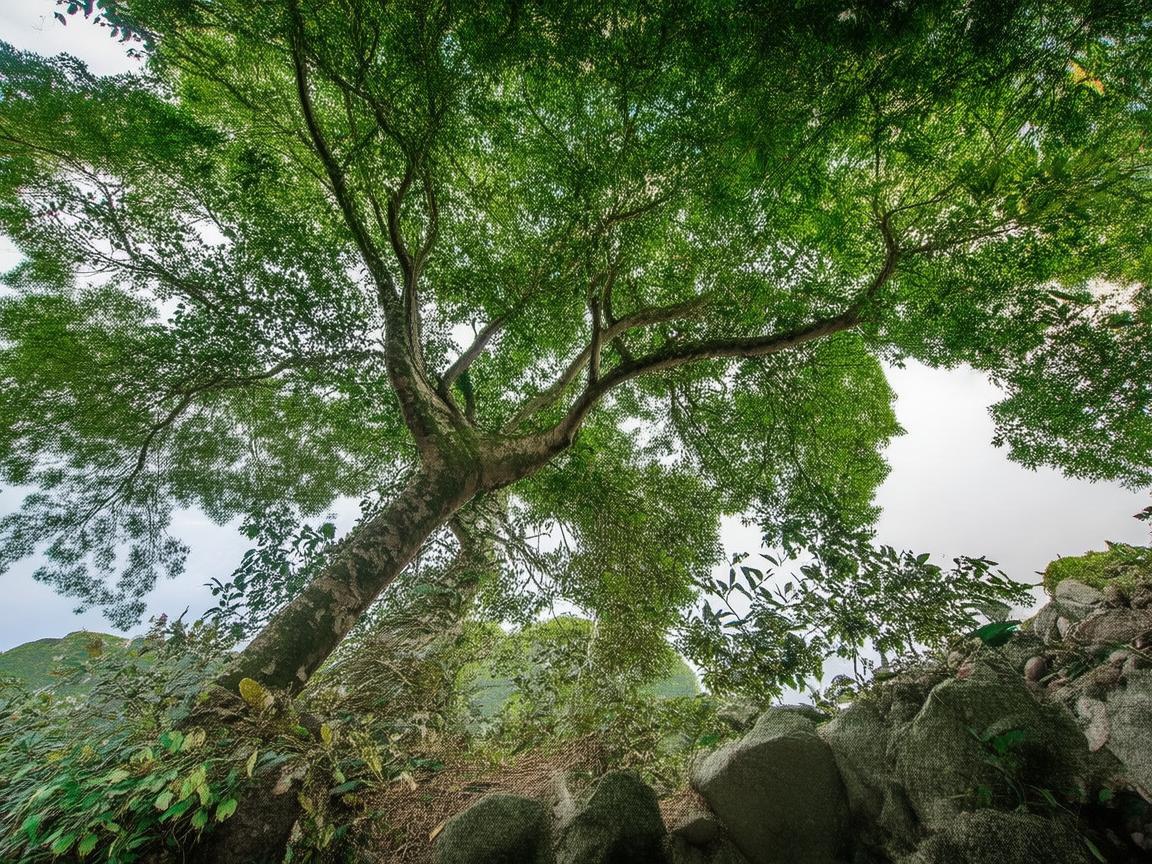 槐香苑究竟属于什么物业？