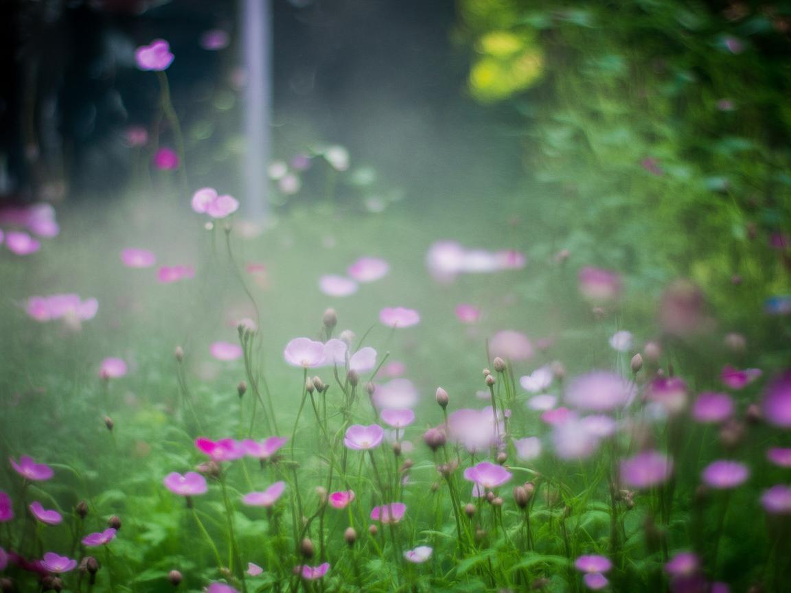 现在交物业费贵吗？